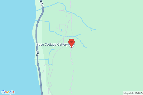 Rose Cottage Cattery