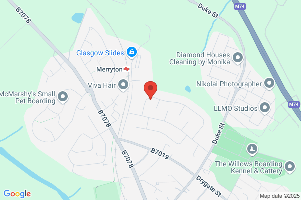 Central Tree Surgeons