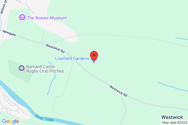 Lowfield Gardens Nursery