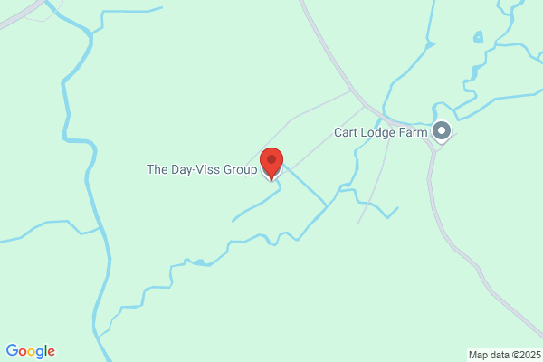 The Day-Viss Group Ltd