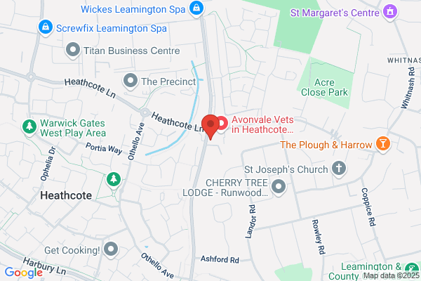Lighthorne Auto Choice