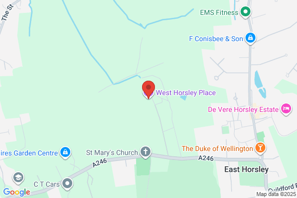 Thomas (West Horsley) Ltd