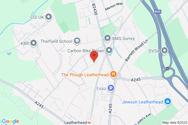 Pest Control Leatherhead