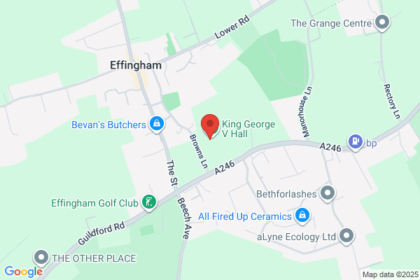 Effingham Playing Fields Association Ltd