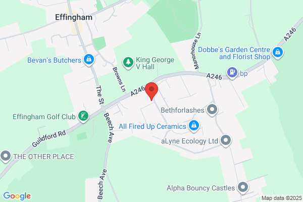 Welwyn Pest Control Services