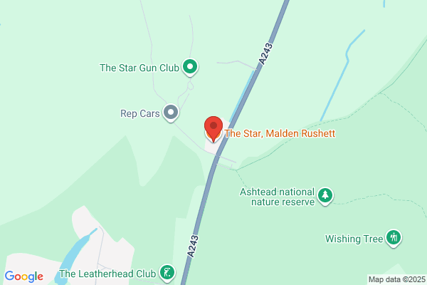 The Star