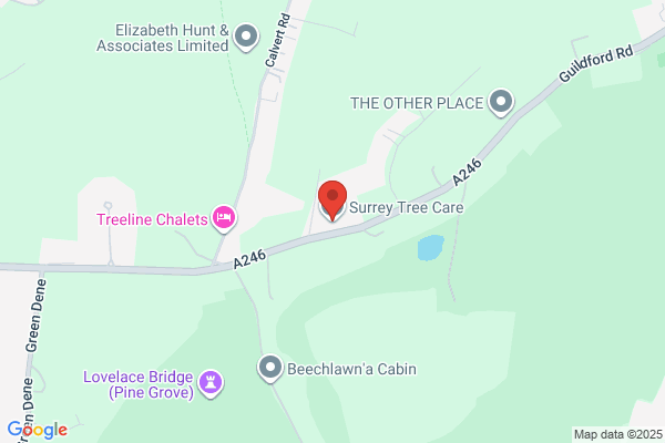 Surrey Tree Care Ltd