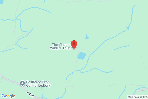 The Vincent Wildlife Trust