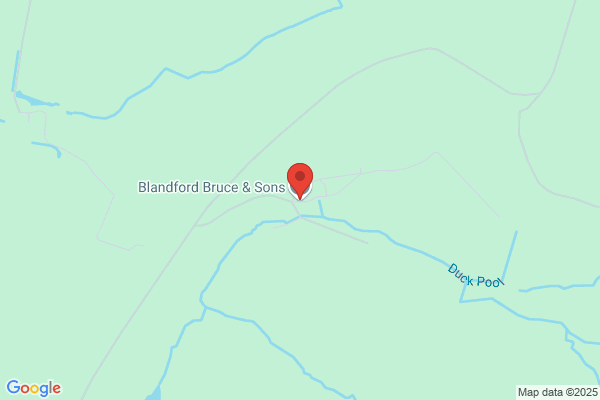Bruce Blandford & Sons