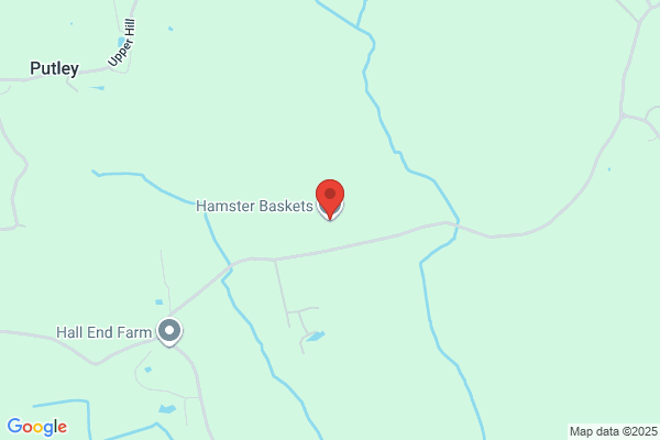 Hamster Baskets