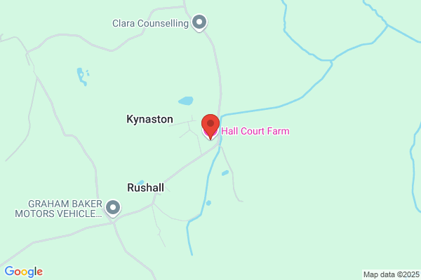 Court-Y-Park