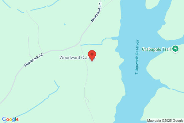 C J Woodward
