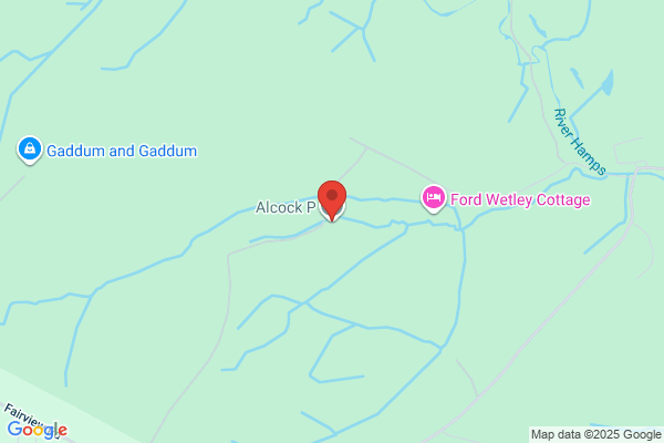 P Alcock