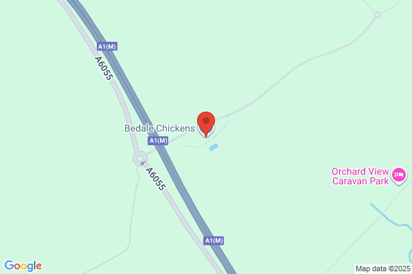 Bedale Chickens