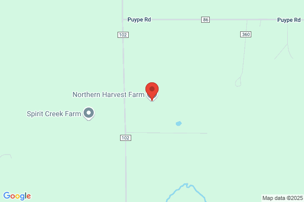Northern Harvest