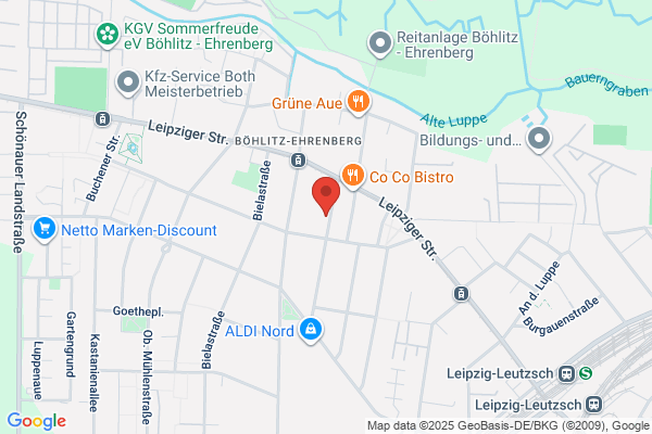 Alto Cleaning Services