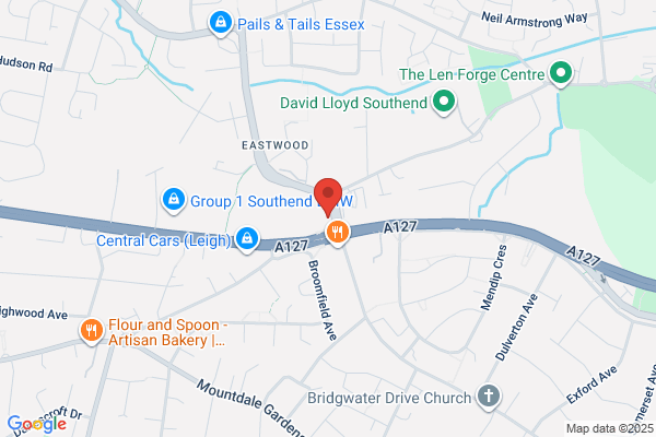 Dr H W Mott