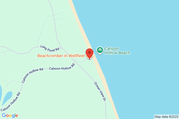 Beachcombers