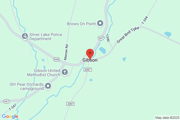 P A Gibson