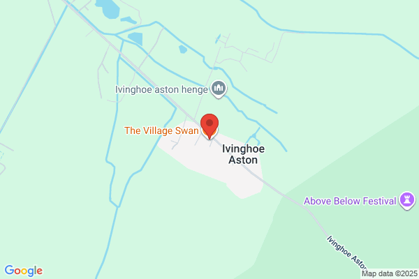 The Village Swan