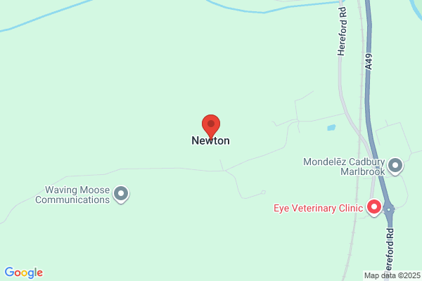 A C Newton
