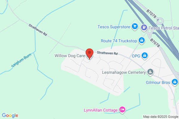Willow Dog Care