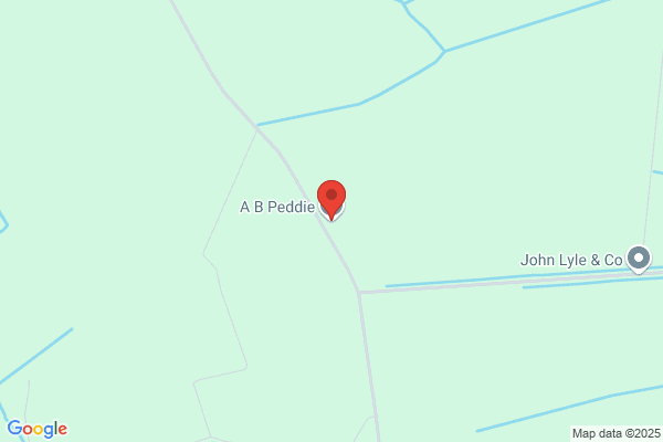 A B Peddie