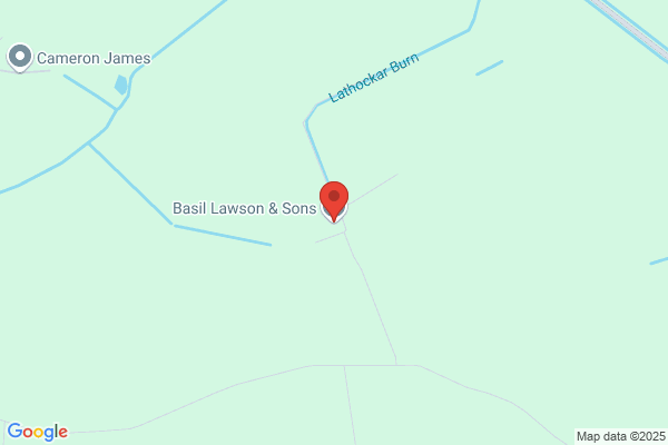 Basil Lawson & Sons
