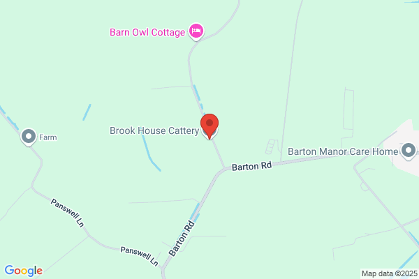 Brook House Cattery