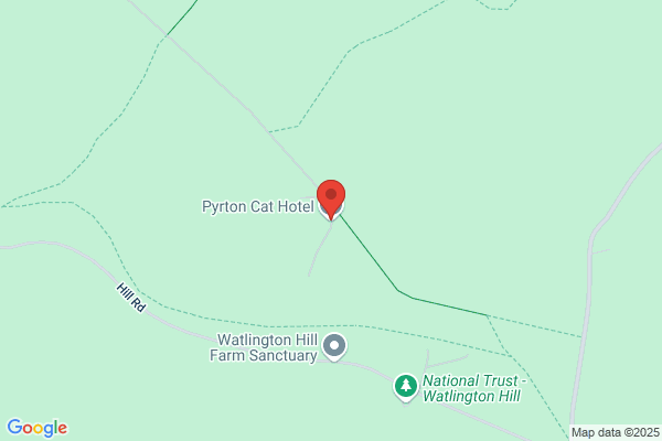 Chinnor Cattery