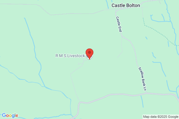 R M S Livestock Ltd