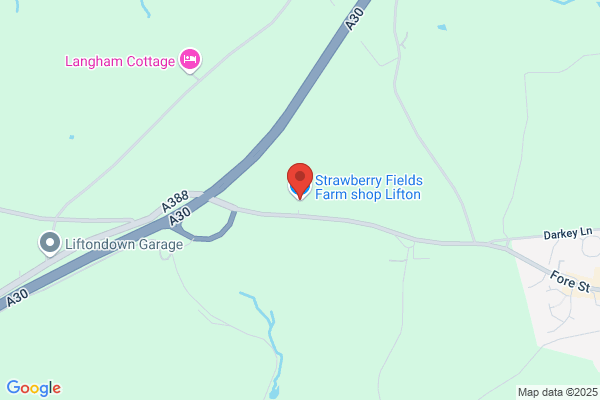 Lifton Strawberry Fields