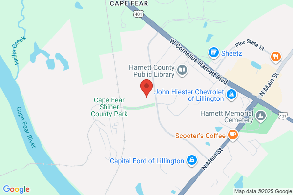 Arlington Planning Services