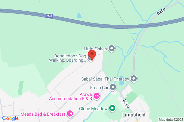 Limpsfield Chiropractic Clinic