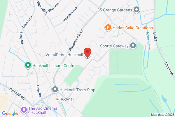Vets4Pets - Hucknall