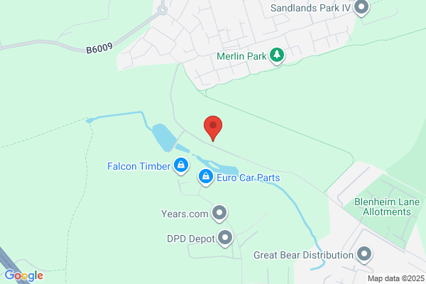 Nottinghamshire Tree Surgeon