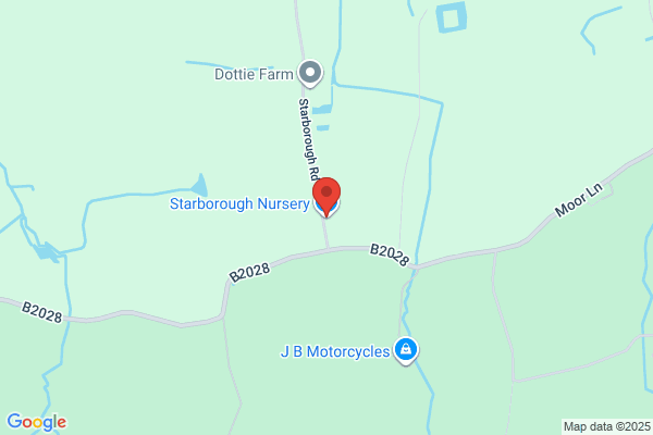 Starborough Nursery