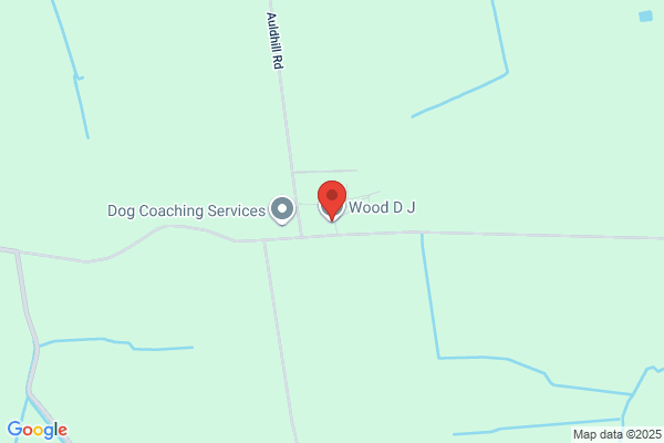 D J Wood