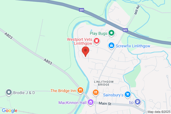 Mill Lane Motors