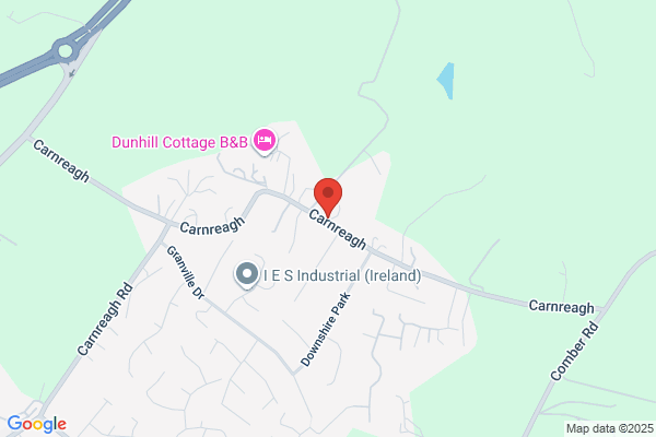 Carnreagh Consulting