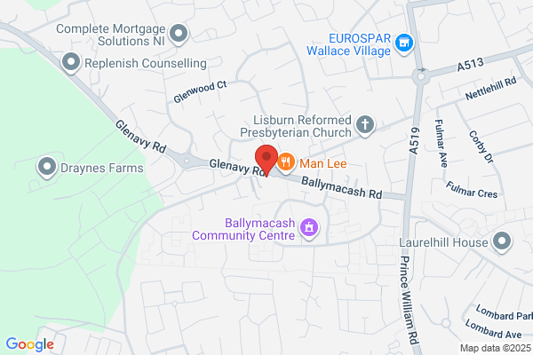 Lisburn Dog Groomers