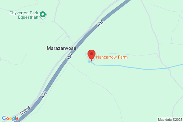 C Nancarrow