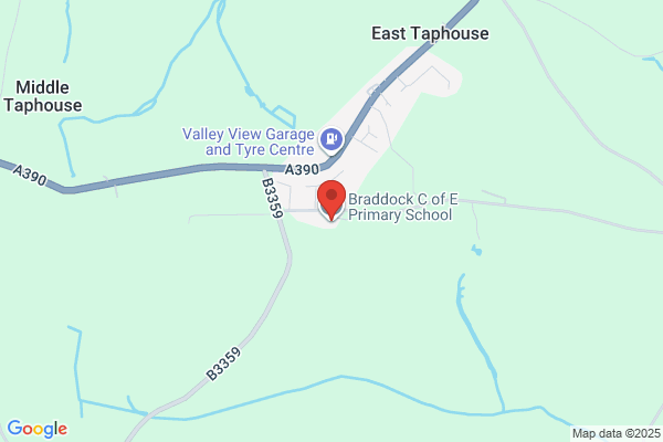 Braddock Primary School