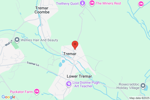 Tremar Taxis