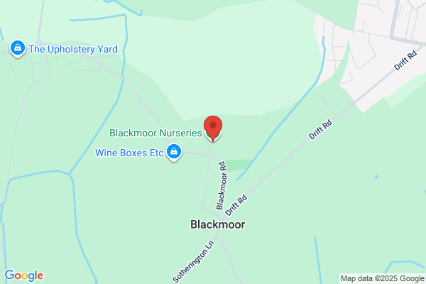Blackmoor Plant Centre