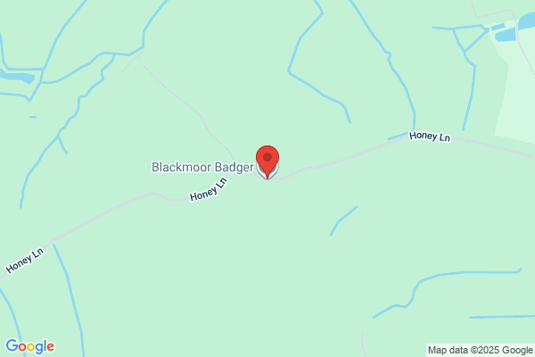 Blackmoor Badgers