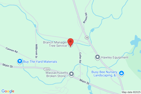 Branch Management Tree Services