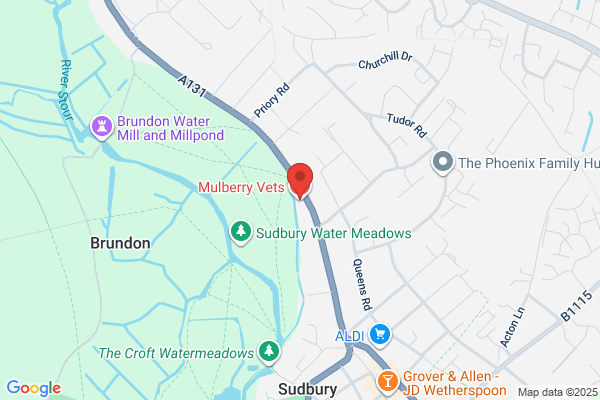 Mulbery Court Veterinary Surgery