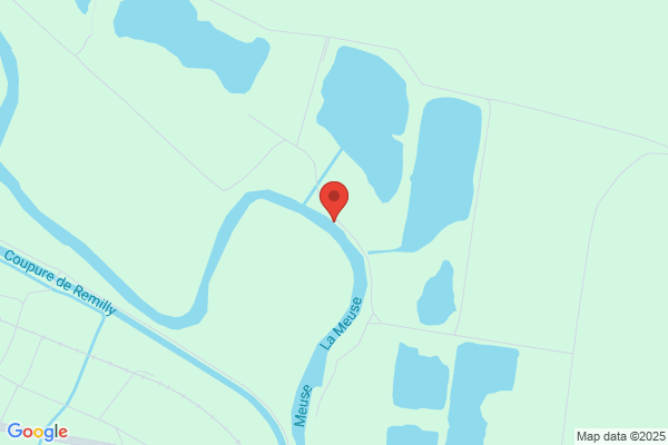 MAAS