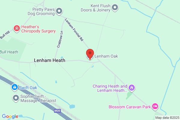 Lenham Oak & Fencing